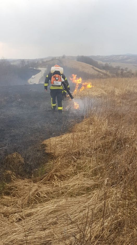 4 hectare de vegetație, mistuite de flăcări între Aghireș și Meseșenii de Jos