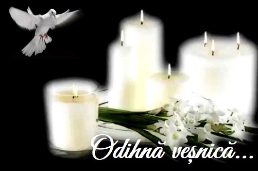 Ioan Ardelean, un om remarcabil și un profesor dedicat. Odihnește-te în pace!