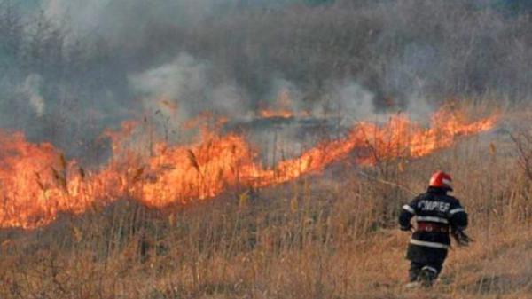 Pompierii s-au luptat  cu un incendiu care  a cuprins 20 de hectare  de vegetaţie la Pericei